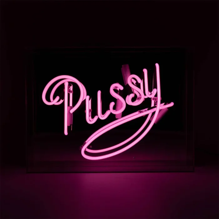 ‘pussy’ Acrylic Box Pink Neon Sign
