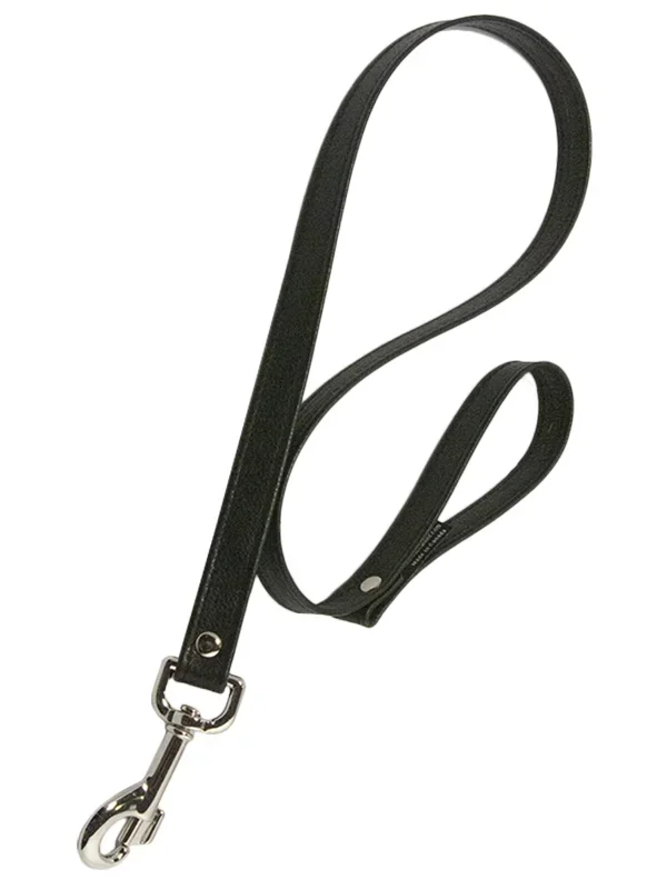 Aslan Leather 3′ Leash