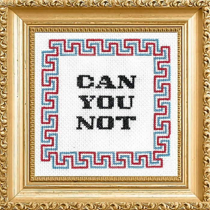 Can You Not – Cross Stitch