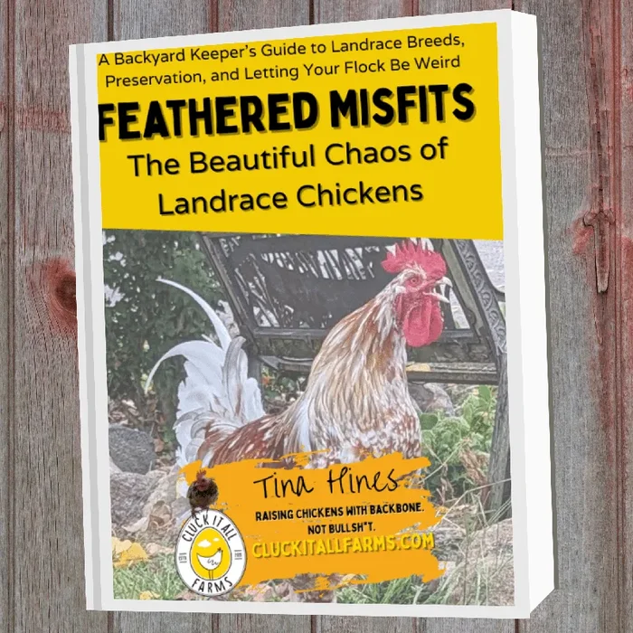 Feathered Misfits The Beautiful Chaos of Landrace Chickens Downloadable e-Book
