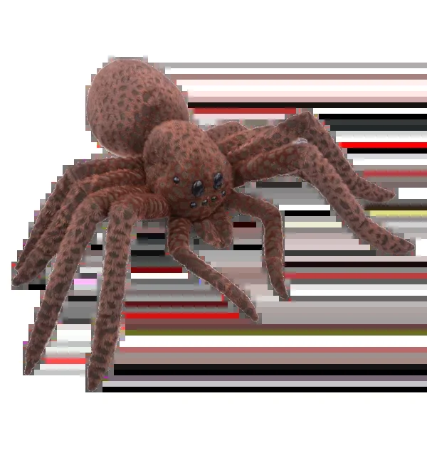 Gender Fluid Enthrall Strap On Dildo 5.5