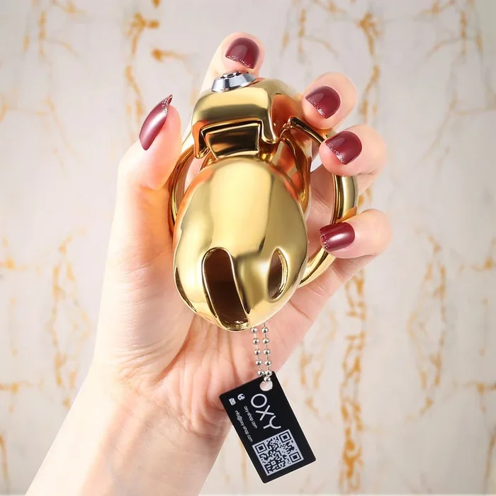 HTV5 Steel 24K Gold Coated – Smart lock feature