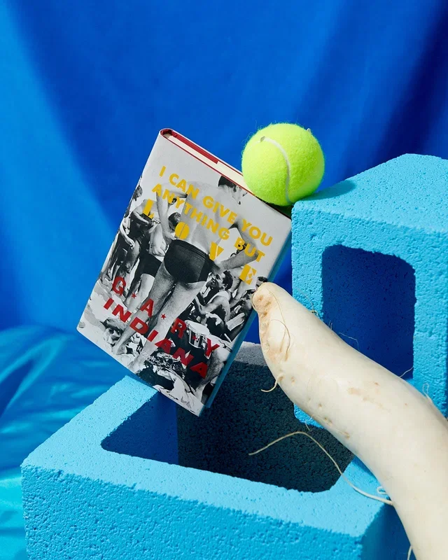 I Can Open You Anything But Love by Gary Indiana