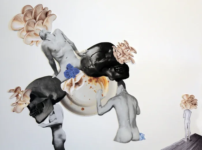 John Zinonos, he recall oyster mushrooms hail from the sea, 2025