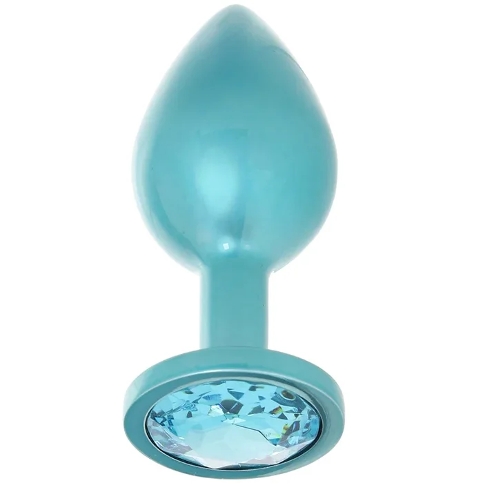 Rear Assets Medium Metal Butt Plug in Teal