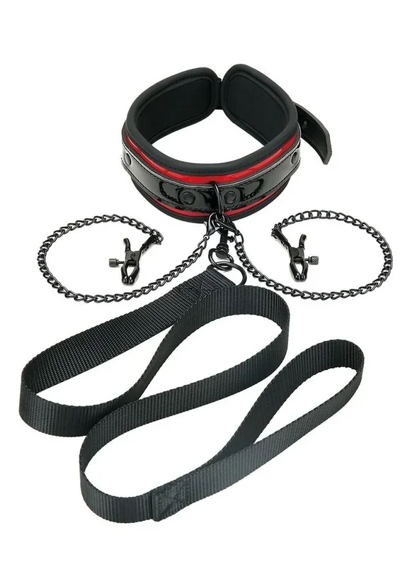 WhipSmart Heartbreakers Deluxe Collar, Nipple Clips, Leash