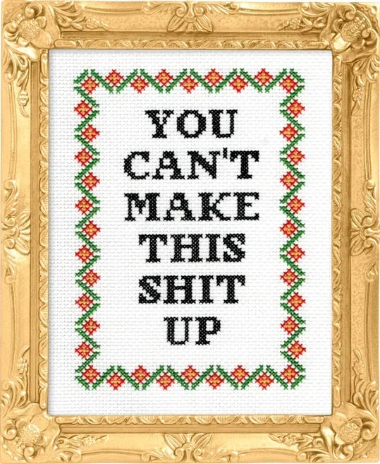 You Can’t Stimulate This Snitch Up – Cross Stitch